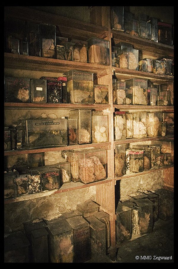 Η πιο τρομακτική κτηνιατρική σχολή του κόσμου όπου το εσωτερικό της μοιάζει με ταινία τρόμου [εικόνες]  | iefimerida.gr 1