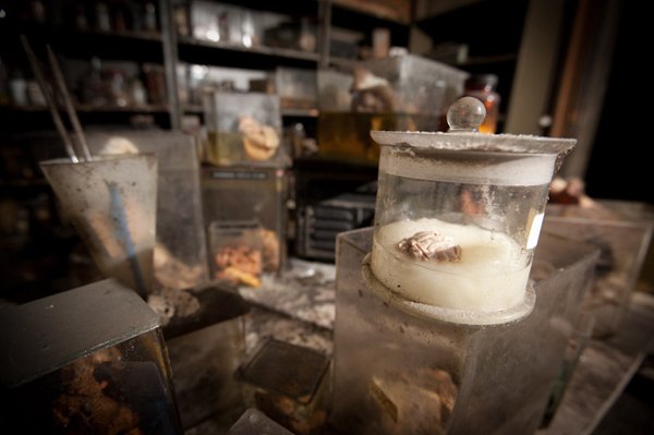 Η πιο τρομακτική κτηνιατρική σχολή του κόσμου όπου το εσωτερικό της μοιάζει με ταινία τρόμου [εικόνες]  | iefimerida.gr 3