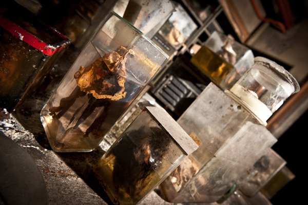 Η πιο τρομακτική κτηνιατρική σχολή του κόσμου όπου το εσωτερικό της μοιάζει με ταινία τρόμου [εικόνες]  | iefimerida.gr 4