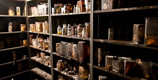 Η πιο τρομακτική κτηνιατρική σχολή του κόσμου όπου το εσωτερικό της μοιάζει με ταινία τρόμου [εικόνες]  | iefimerida.gr 6