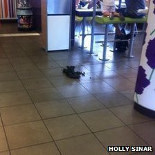 Αρνήθηκαν να την σερβίρουν στο drive thru και μπήκε με το άλογο στα McDonald's [εικόνες] | iefimerida.gr 1