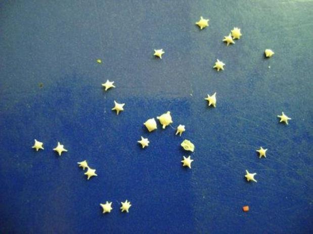 Η παραλία των σκελετών: Ενα εντυπωσιακό φαινόμενο στην Ιαπωνία [εικόνες] | iefimerida.gr 1