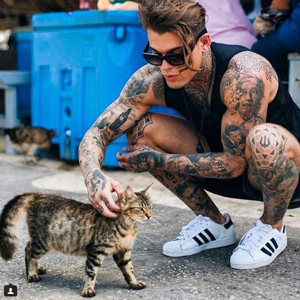 Νέα τρέλα στο Instagram -Καυτοί άνδρες αγκαλιά με γατιά [εικόνες] | iefimerida.gr 0