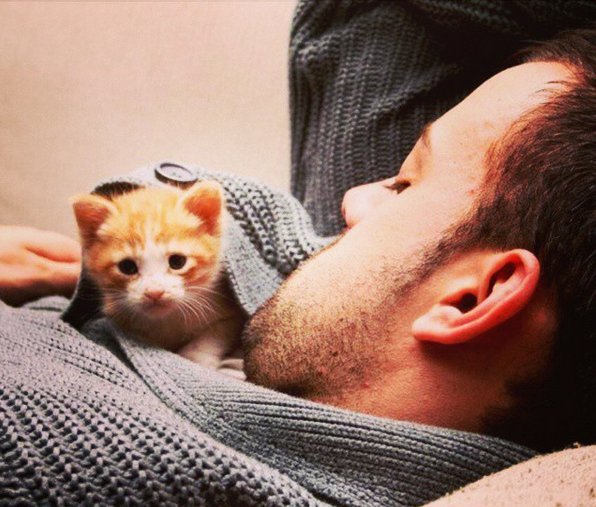 Νέα τρέλα στο Instagram -Καυτοί άνδρες αγκαλιά με γατιά [εικόνες] | iefimerida.gr 10