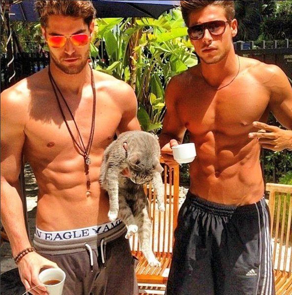 Νέα τρέλα στο Instagram -Καυτοί άνδρες αγκαλιά με γατιά [εικόνες] | iefimerida.gr 9