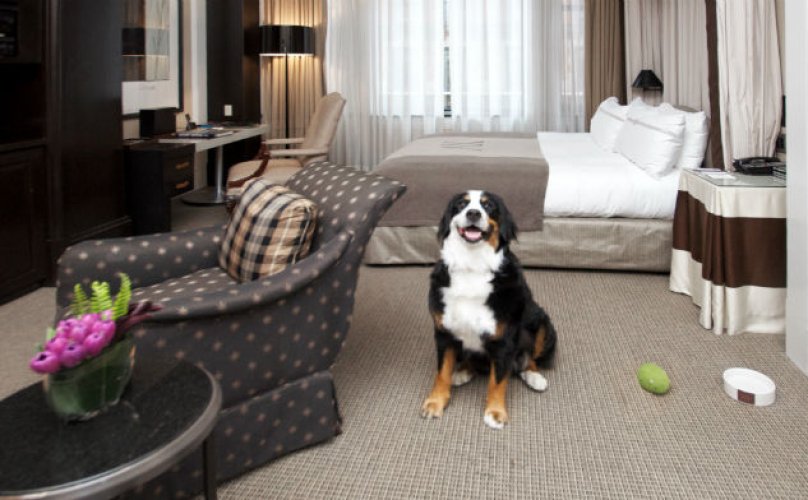 Viral -Ξενοδοχείο εξηγεί γιατί δέχεται και σκύλους, τρολάροντας τους πελάτες του! [εικόνες] | iefimerida.gr 1