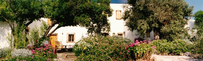 Διακοπές γιόγκα στην Ελλάδα -9 προορισμοί [εικόνες] | iefimerida.gr 3