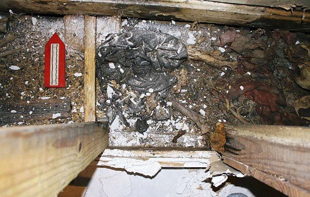 Εγκλωβίστηκε στον τοίχο του σπιτιού της και τη βρήκαν νεκρή 3 χρόνια μετά [εικόνες] | iefimerida.gr 9