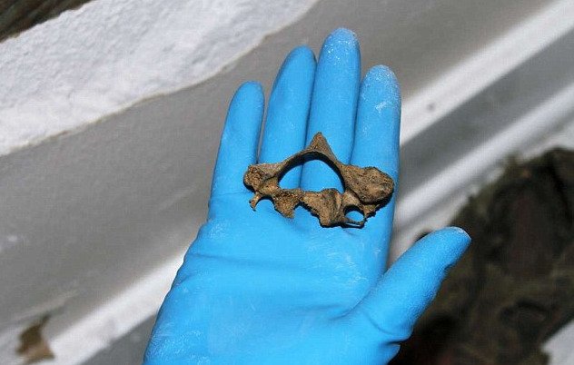 Εγκλωβίστηκε στον τοίχο του σπιτιού της και τη βρήκαν νεκρή 3 χρόνια μετά [εικόνες] | iefimerida.gr 7