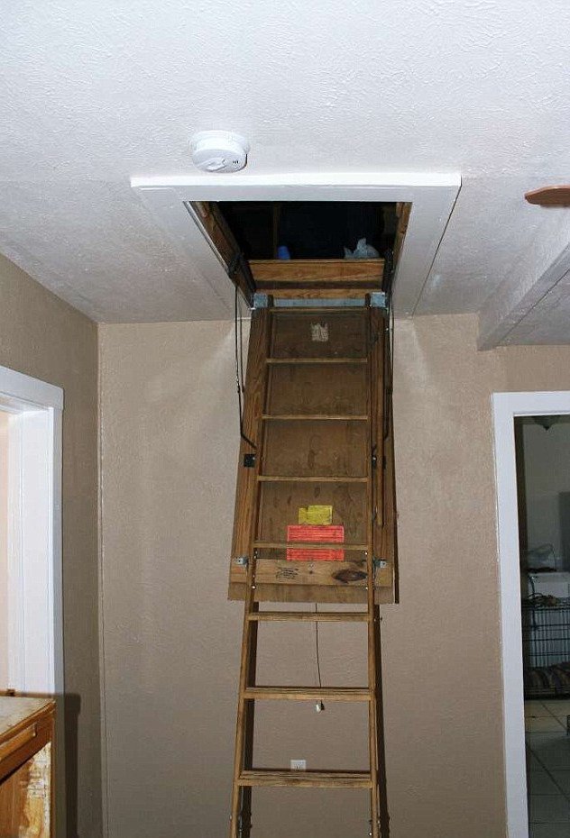 Εγκλωβίστηκε στον τοίχο του σπιτιού της και τη βρήκαν νεκρή 3 χρόνια μετά [εικόνες] | iefimerida.gr 3