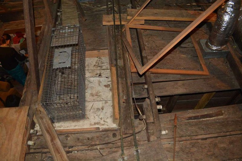 Εγκλωβίστηκε στον τοίχο του σπιτιού της και τη βρήκαν νεκρή 3 χρόνια μετά [εικόνες] | iefimerida.gr 2