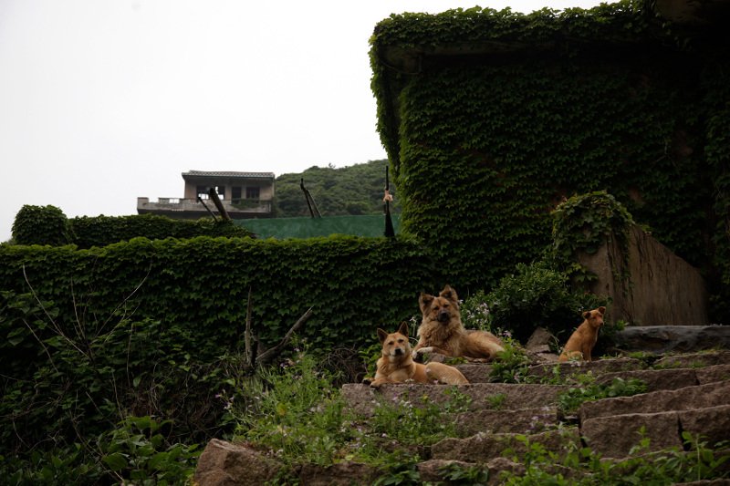 Το χωριό που το κατάπιε η φύση έχει γίνει η απόλυτη τουριστική ατραξιόν [εικόνες] | iefimerida.gr 8