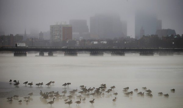Πάγωσαν οι ΗΠΑ από την εισβολή του πολικού ψύχους -Η θερμοκρασία κατρακύλησε στους -51 βαθμούς Κελσίου [εικόνες & βίντεο] | iefimerida.gr 3