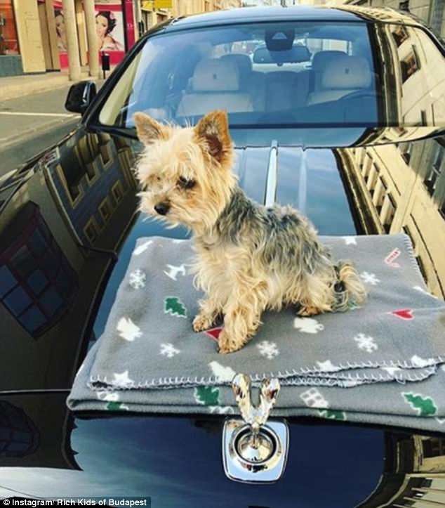  Τα πλουσιόπαιδα της Ουγγαρίας προκαλούν διπλά -Ποζάρουν γυμνά, επιδεικνύοντας τα πλούτη τους [εικόνες] | iefimerida.gr 8