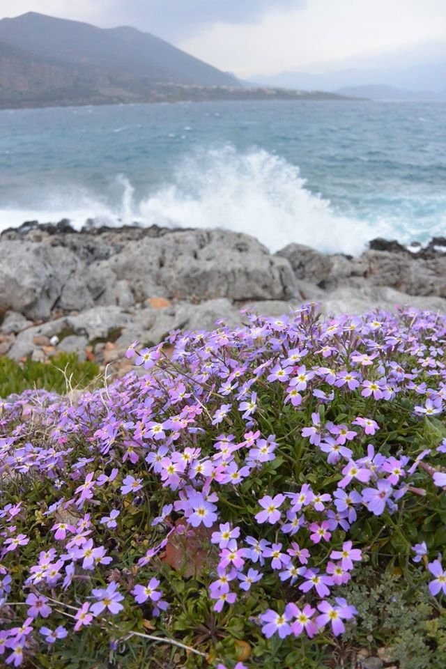 Χιου Κίγκστον: Ο Αυστραλός που γύρισε τη Μεσόγειο με το κανό του για τα παιδιά της Συρίας -Πού πήγε στην Ελλάδα [εικόνες] | iefimerida.gr 0