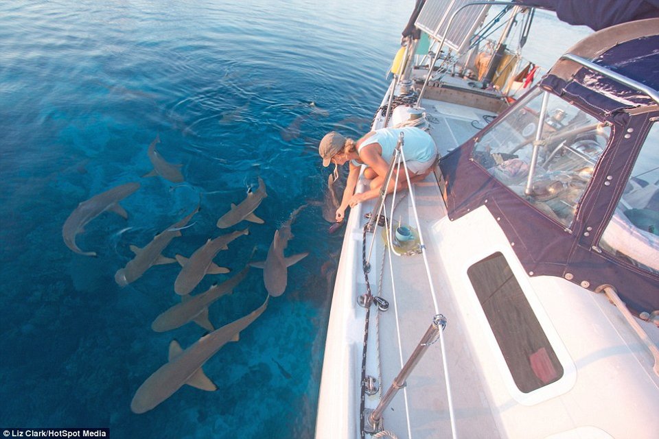 Μπαργούμαν ετών 34 ψάχνει για παρέα σε όλο τον κόσμο: Της χάρισαν γιοτ αλλά νιώθει μόνη [εικόνες] | iefimerida.gr 0