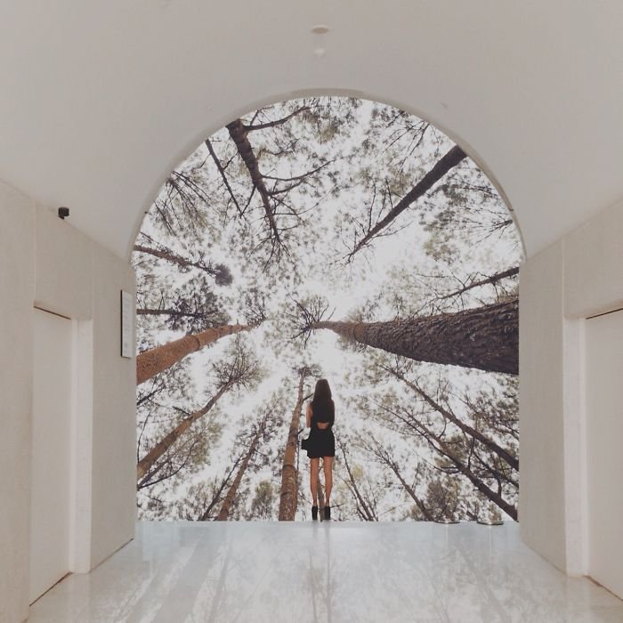 Ισως οι ωραιότερες φωτογραφίες που έχουν βγει με iPhone [εικόνες] | iefimerida.gr 11