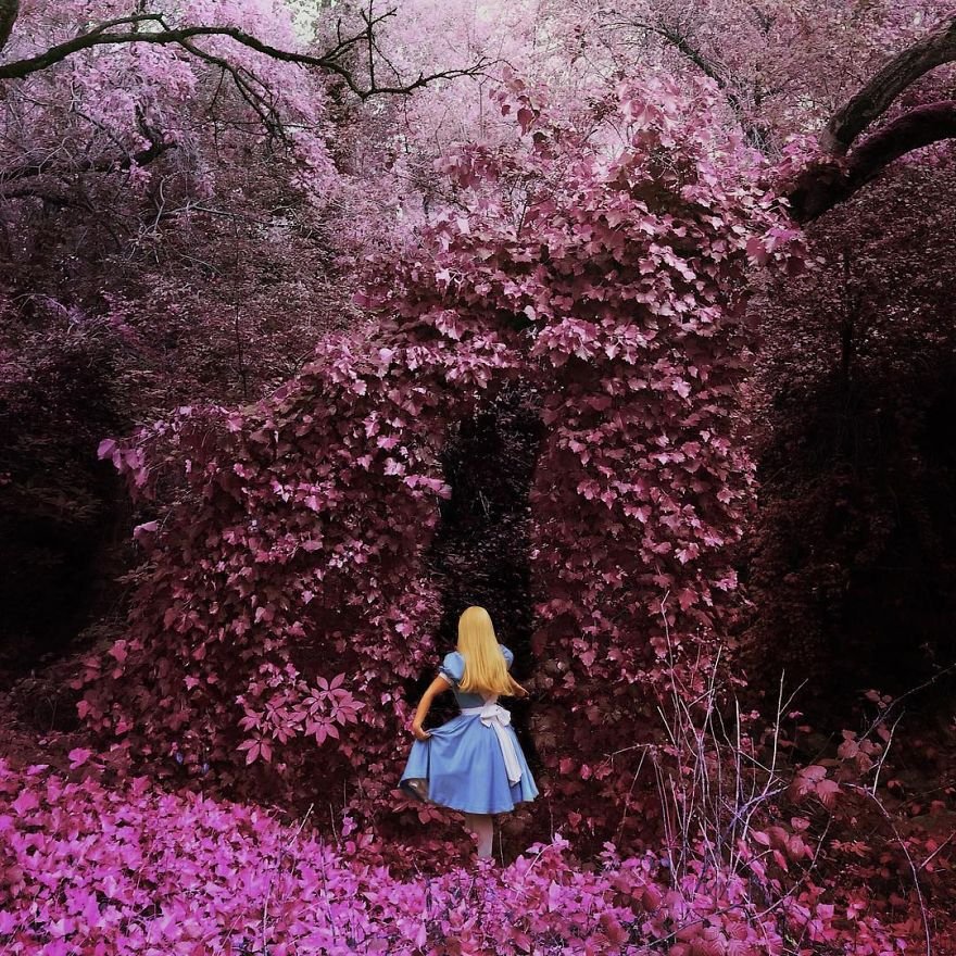 Τέχνη μέσω iPhone -Ερασιτέχνις τράβηξε απίθανες φωτογραφίες με το κινητό της [εικόνες] | iefimerida.gr 7