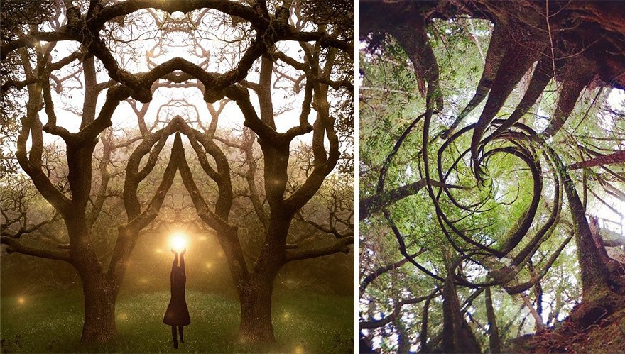 Τέχνη μέσω iPhone -Ερασιτέχνις τράβηξε απίθανες φωτογραφίες με το κινητό της [εικόνες] | iefimerida.gr 6