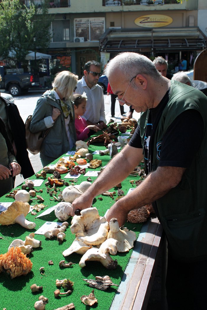Πέντε χιλιάδες επισκέπτες πήγαν στην 1η Γιορτή Μανιταριού στην Καλαμπάκα | iefimerida.gr 1