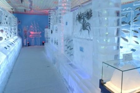Κατεψυγμένο ενυδρείο στην Ιαπωνία: Ψάρια και μαλάκια εκτίθενται σε... παγοκολώνες | iefimerida.gr 3