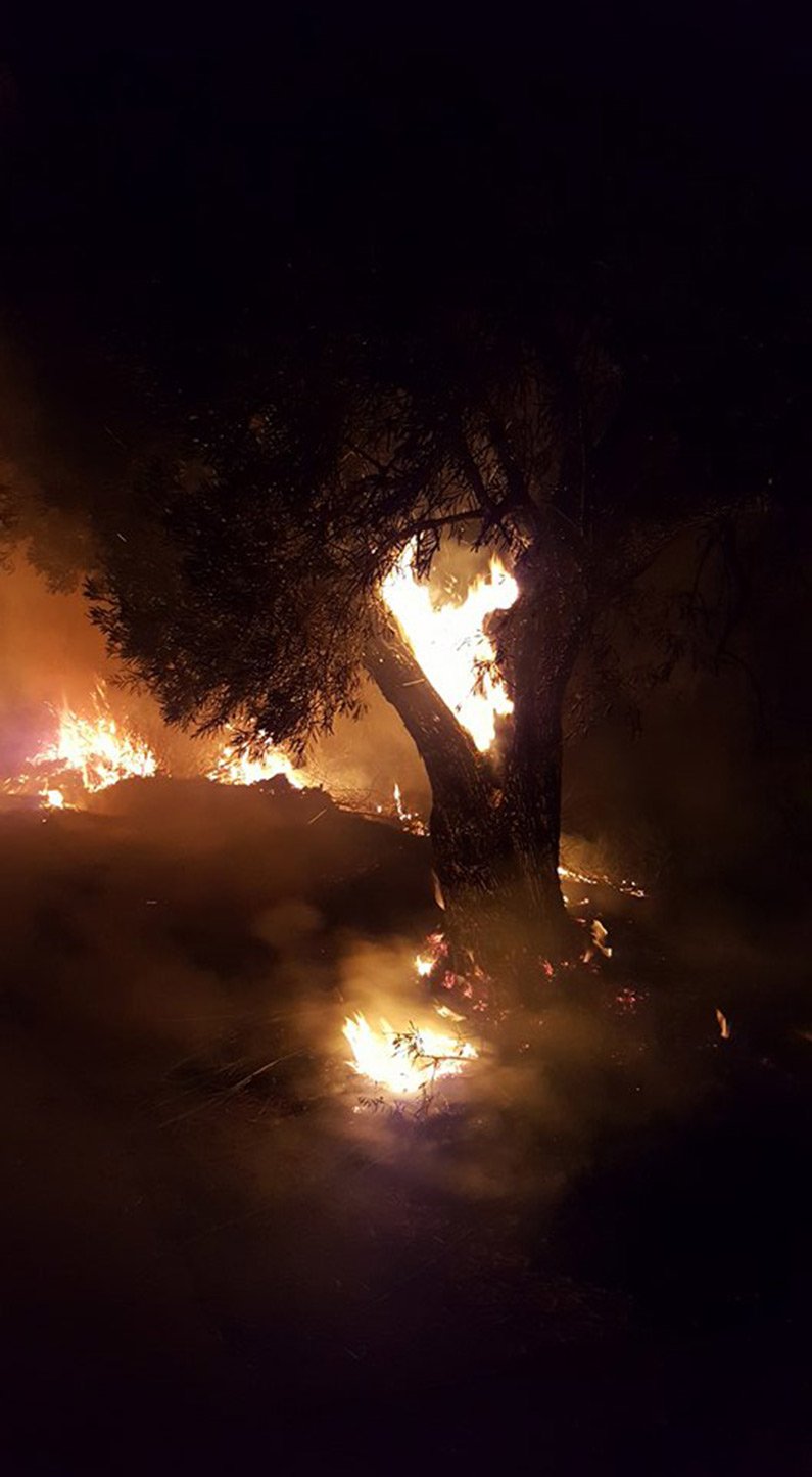 Ζάκυνθος: Σε ύφεση το πύρινο μέτωπο στις Ορθονιές -Συνεχίζεται η επίγεια και εναέρια κατάσβεση | iefimerida.gr 5