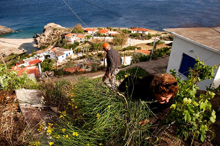 Ικαρία, το αγαπημένο νησί του Guardian [εικόνες] | iefimerida.gr 3