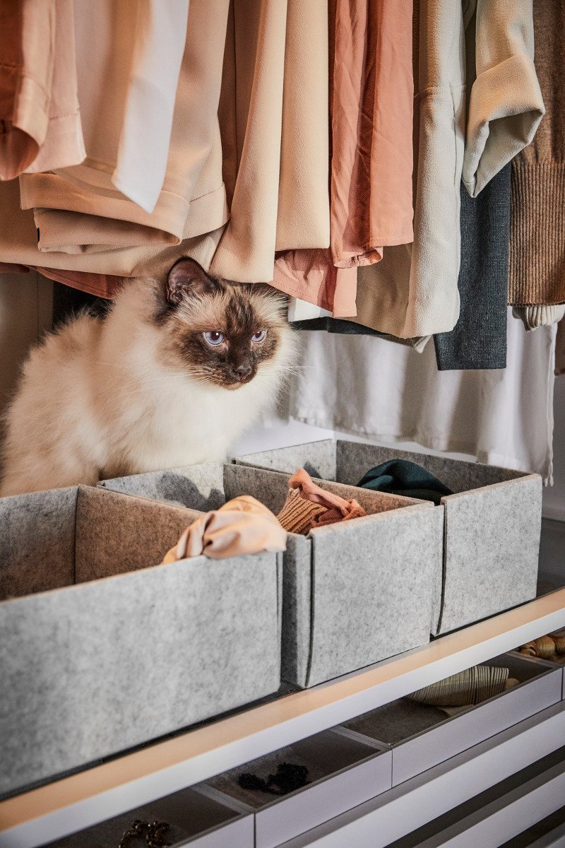 Ξεφυλλίζουμε τον νέο κατάλογο ΙΚΕΑ, 2019 -1.000 βασικά προϊόντα σε χαμηλότερες τιμές [pdf] | iefimerida.gr 3