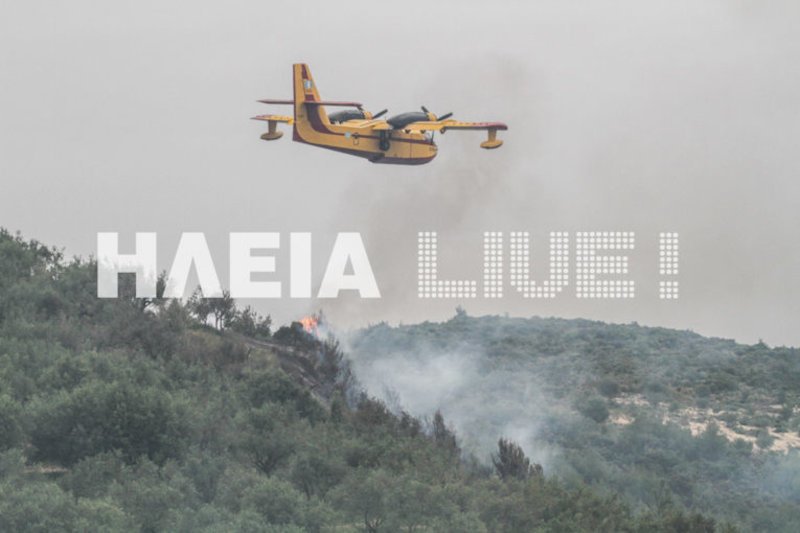 Ηλεία: Δεν υπάρχει ενεργό μέτωπο φωτιάς- Συνεχίζονται οι επιχειρήσεις της πυροσβεστικής | iefimerida.gr 1