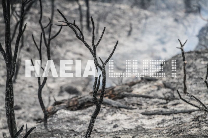 Ηλεία: Δεν υπάρχει ενεργό μέτωπο φωτιάς- Συνεχίζονται οι επιχειρήσεις της πυροσβεστικής | iefimerida.gr 0