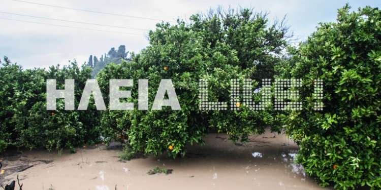 Τον εφιάλτη του 2012 ζουν ξανά οι κάτοικοι της Ηλείας- Πλημμύρισαν σπίτια, καταστράφηκαν περιουσίες [εικόνες] | iefimerida.gr 1