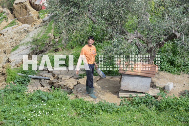 Ανοιξε στα δύο η γη στην Ηλεία -Κατάπιε δέντρα, τμήμα του δρόμου και ένα στάβλο [εικόνες & βίντεο] | iefimerida.gr 6