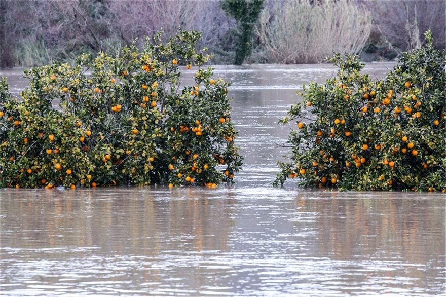 Καταστράφηκαν καλλιέργειες φωτογραφία: ilialive.gr