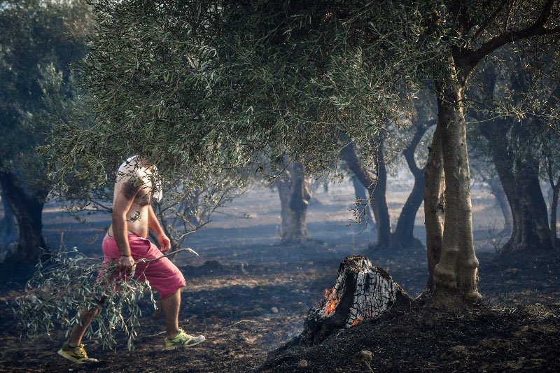 Καίγονται Ζάκυνθος και Ηλεία -Προσπάθειες να τεθούν υπό έλεγχο τα μέτωπα [εικόνες & βίντεο] | iefimerida.gr 3