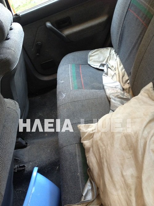 Αστυνομικοί-υποδείγματα έσωσαν δύο σκυλιά σε κατάσταση θερμοπληξίας στον Πύργο-Τα είχαν κλειδώσει οι ιδιοκτήτες τους στο αυτοκίνητο [εικόνες] | iefimerida.gr 1