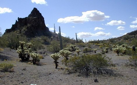 Σοκαριστικές φωτογραφίες δείχνουν τη ζημιά που κάνει ο ήλιος στο δέρμα -Ολα όσα δεν φαίνονται με την πρώτη ματιά [εικόνες] | iefimerida.gr 6