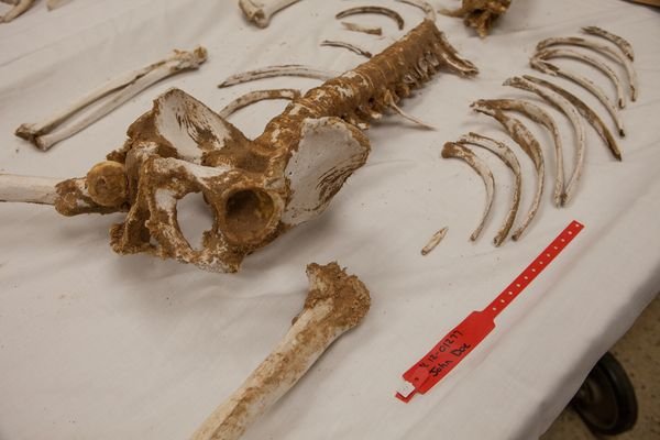 Αναζητώντας τη Γη της Επαγγελίας: Τι αφήνουν πίσω τους οι μετανάστες στο δρόμο για τις ΗΠΑ [εικόνες] | iefimerida.gr 7