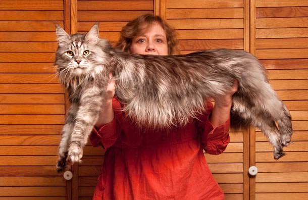 Τα πιό αστεία και ανόητα βραβεία Γκίνες του 2012 [photos] | iefimerida.gr 5