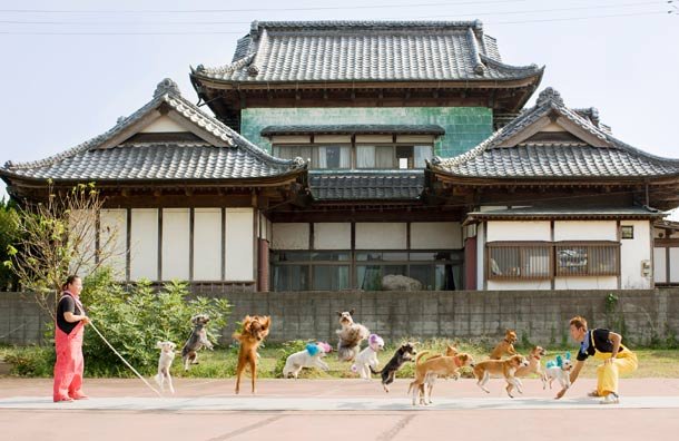 Τα πιό αστεία και ανόητα βραβεία Γκίνες του 2012 [photos] | iefimerida.gr 0