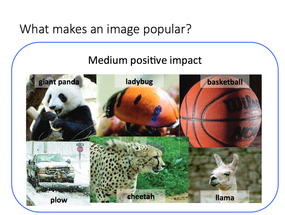 Ερευνητής δίνει όλα τα μυστικά για μια επιτυχημένη selfie -Ποιες εικόνες γίνονται δημοφιλείς [εικόνες] | iefimerida.gr 0