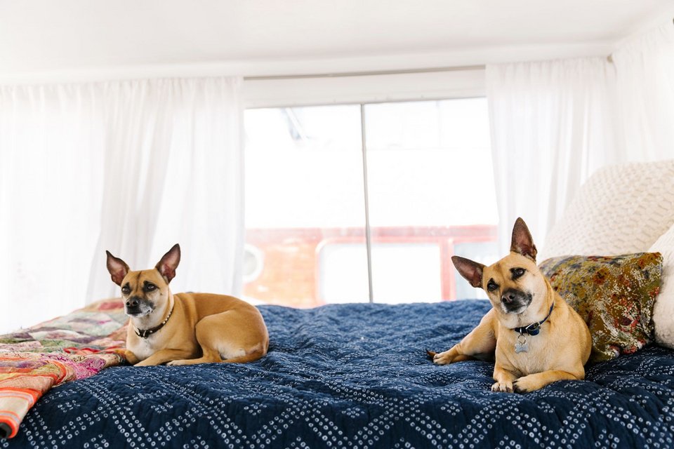 Ετσι είναι το να ζεις σε σκάφος -Σχεδιάστρια το μετέτρεψε σε κομψό σπίτι [εικόνες] | iefimerida.gr 4