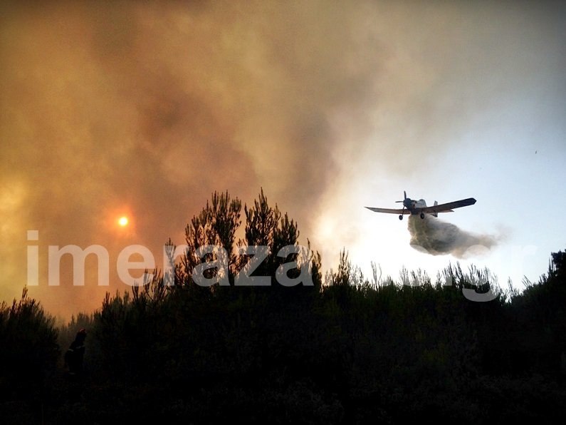 Τρία τα μέτωπα της φωτιάς στη Ζάκυνθο -Πυρκαγιά και στην Καλαμάτα [εικόνες] | iefimerida.gr 0