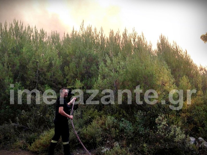 Τρία τα μέτωπα της φωτιάς στη Ζάκυνθο -Πυρκαγιά και στην Καλαμάτα [εικόνες] | iefimerida.gr 1