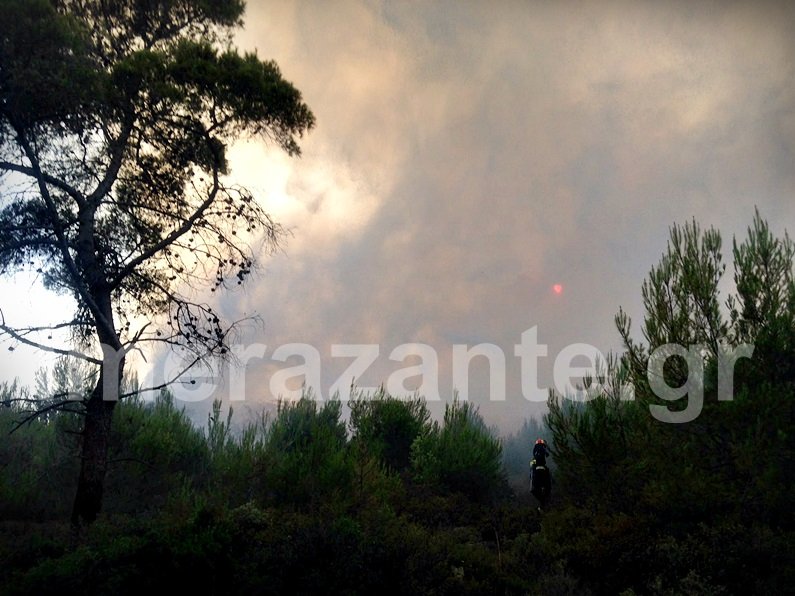 Τρία τα μέτωπα της φωτιάς στη Ζάκυνθο -Πυρκαγιά και στην Καλαμάτα [εικόνες] | iefimerida.gr 2