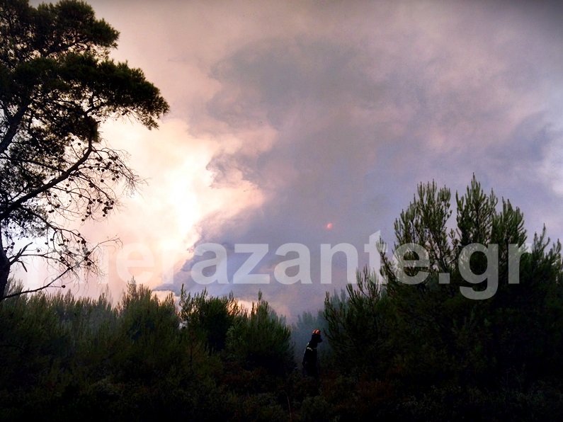 Τρία τα μέτωπα της φωτιάς στη Ζάκυνθο -Πυρκαγιά και στην Καλαμάτα [εικόνες] | iefimerida.gr 3