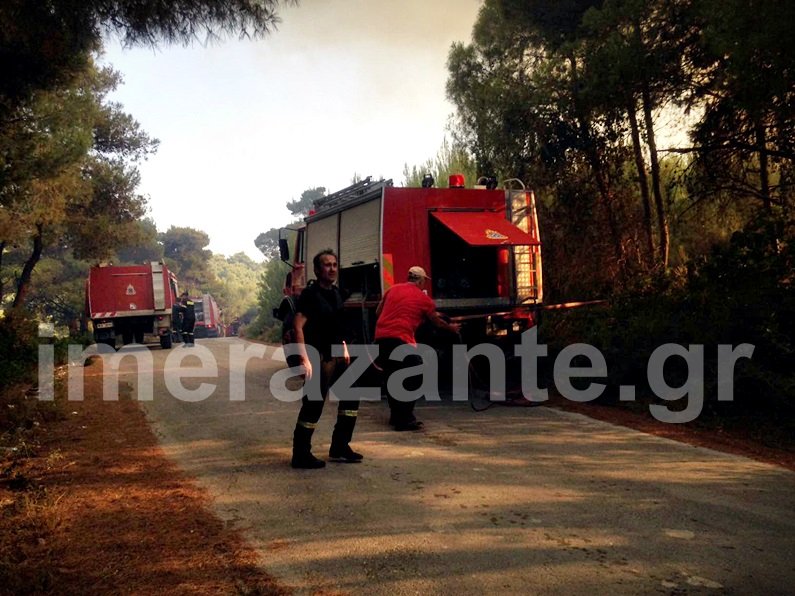 Τρία τα μέτωπα της φωτιάς στη Ζάκυνθο -Πυρκαγιά και στην Καλαμάτα [εικόνες] | iefimerida.gr 4
