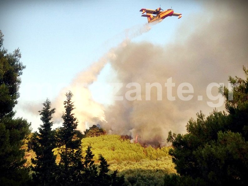 Τρία τα μέτωπα της φωτιάς στη Ζάκυνθο -Πυρκαγιά και στην Καλαμάτα [εικόνες] | iefimerida.gr 6