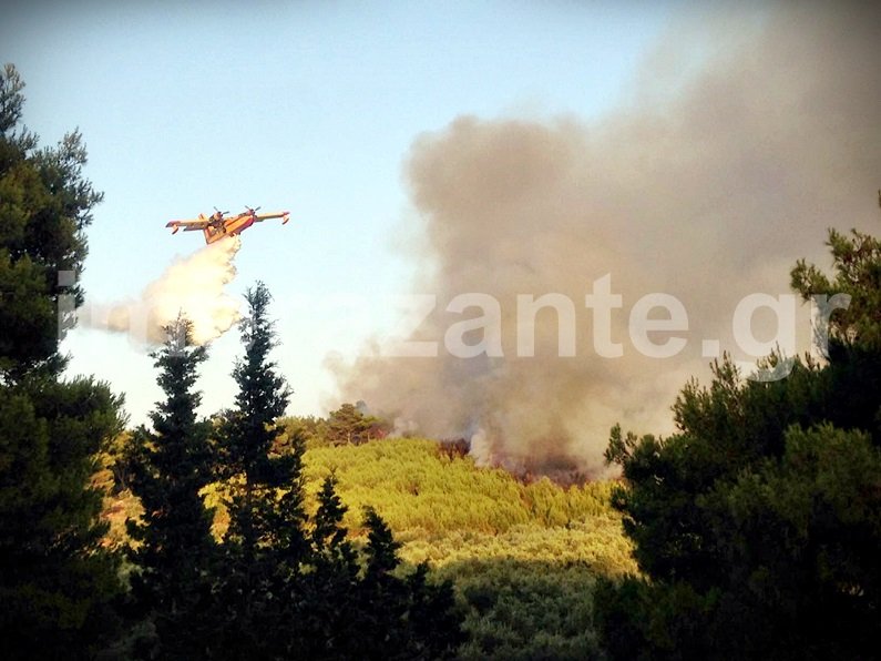 Τρία τα μέτωπα της φωτιάς στη Ζάκυνθο -Πυρκαγιά και στην Καλαμάτα [εικόνες] | iefimerida.gr 7