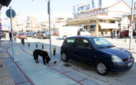 «Χάτσικο» στην Κομοτηνή: Η ιστορία που συγκίνησε το πανελλήνιο -Νεκρός ο ιδιοκτήτης του σκύλου που περίμενε... [εικόνες] | iefimerida.gr 2