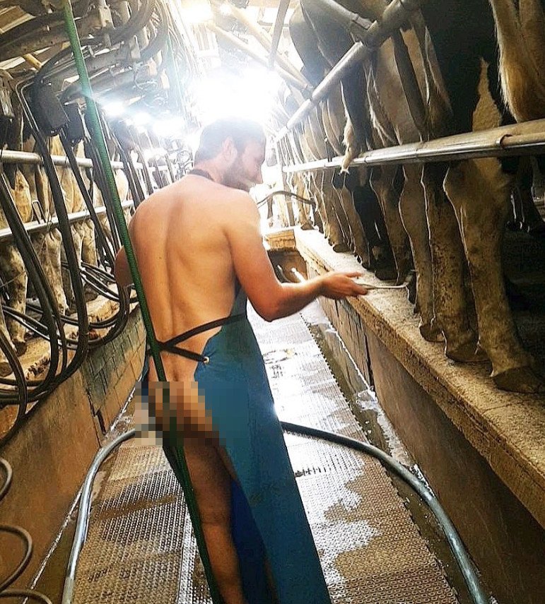 Αυστραλοί αγρότες ποζάρουν γυμνοί για να γιορτάσουν τη ζωή στην ύπαιθρο –Για καλό σκοπό [εικόνες] | iefimerida.gr 1